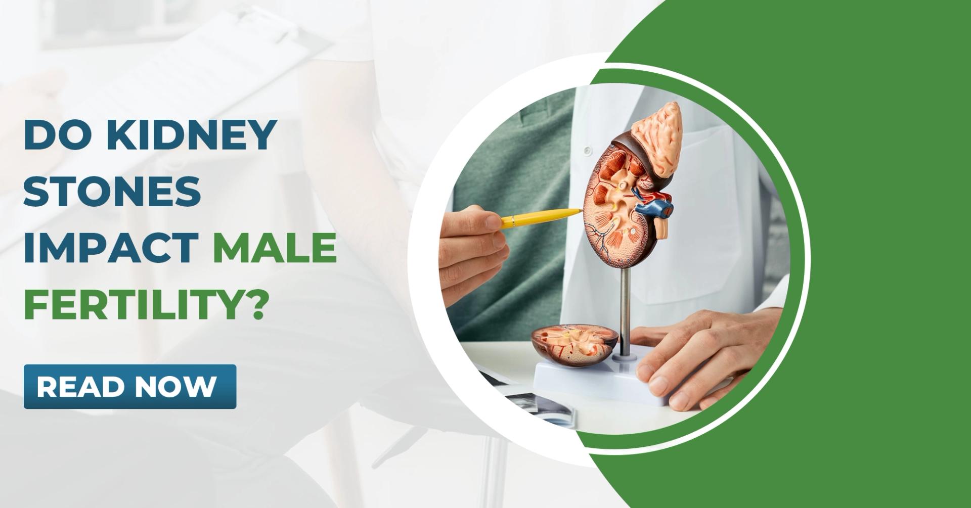 Do Kidney Stones Impact Male Fertility?