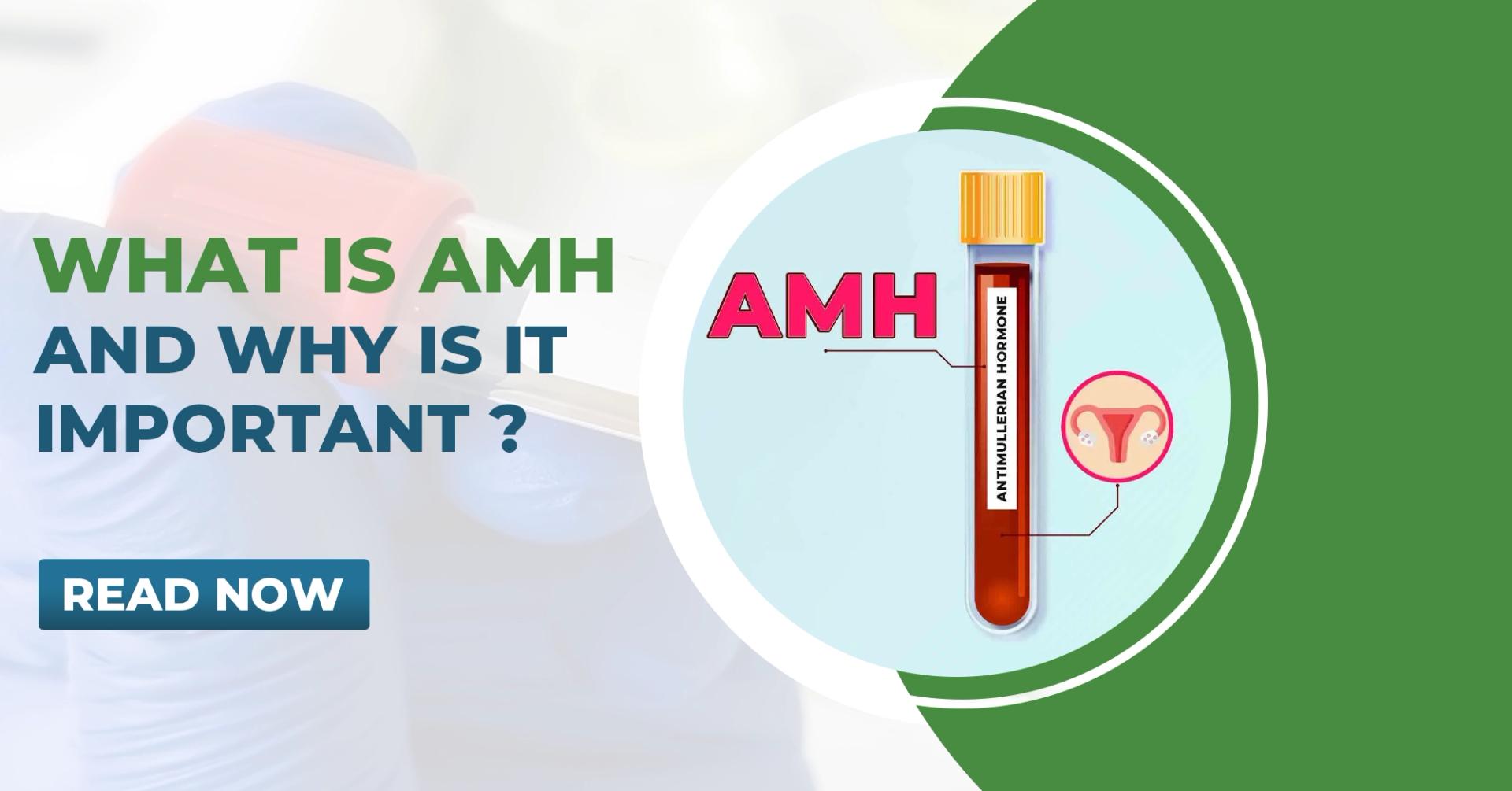 What is Anti-Müllerian Hormone (AMH) and Why is It Important?