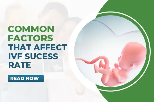 Common Factors That Affect IVF Success Rate